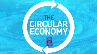 Explainer The Circular Economy [upl. by Cattima787]