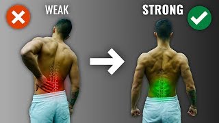 Beginners Back Exercises that Strengthen your Back [upl. by Pitzer]