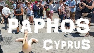 Attractions and Things To Do at Paphos [upl. by Yetsirhc]