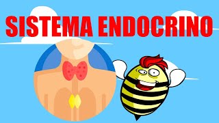 🟥SISTEMA ENDOCRINO 💚EXPLICADO FÁCIL🧠GLÁNDULAS Y HORMONAS🟥 [upl. by Crin]