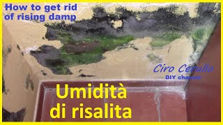 Lumidità di risalita ecco cosa fare How to get rid of rising damp eliminare umidità di risalita [upl. by Prosperus288]