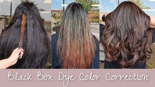 Black Box Dye Hair Color Correction  FULL CORRECTION FROM BLACK TO BROWN HAIR [upl. by Letsyrc724]