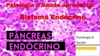 Sistema Endócrino Histologia do pâncreas [upl. by Shurlocke198]