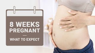 8 Week Pregnant  What to Expect [upl. by Haral]