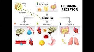 Managing histamine intolerance [upl. by Cogan]