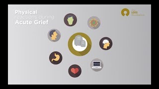 The Phases of Grief  understanding bereavement [upl. by Dierdre204]