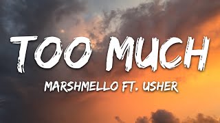 Marshmello x Imanbek  Too Much Lyrics ft Usher [upl. by Ykroc]