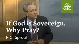 If God is Sovereign Why Pray Prayer with RC Sproul [upl. by Noyes613]