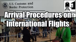 What is the Arrival Procedure on an International Flight [upl. by Eeniffar]