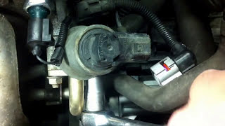 ✰ VW Golf Polo Lupo ✰ 1416 EGR Valve change [upl. by Arihk181]