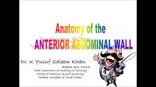 Anatomy  ANTERIOR ABDOMINAL WALL  Part 1  Dr Yusuf [upl. by Eednak]