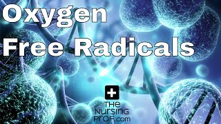 Oxygen Free Radicals Damage the Body [upl. by Nomad685]