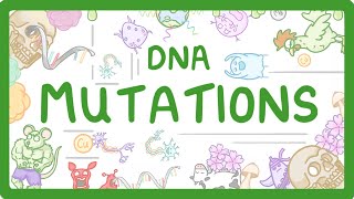 GCSE Biology  What are DNA Mutations 67 [upl. by Ecirtahs907]