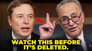 Elon Musk FIRES BACK At Chuck Schumer amp Sends Him Into A MELTDOWN [upl. by Skyler]