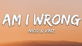 Nico amp Vinz  Am I Wrong Lyrics [upl. by Ynneg133]