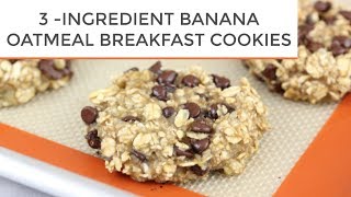 3INGREDIENT BANANA OATMEAL BREAKFAST COOKIES [upl. by Nivaj]