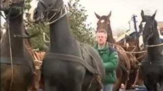 Paardenreddingboot Ameland  clip [upl. by Kcirdec]