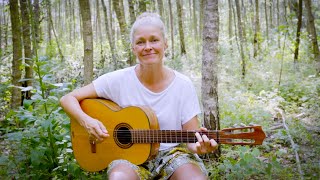 Die Bremer Stadtmusikanten  Kinderlieder zum Mitsingen  Sing mit Anja [upl. by Aliel]