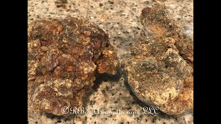 Myrrh Video MyrrhCommiphora myrrha What is this resin and how to use it [upl. by Beghtol]