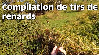 Compilation de tirs de renards [upl. by Audrit]