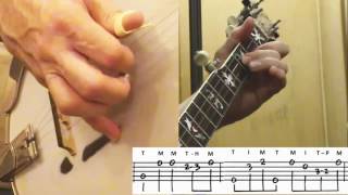 Dueling Banjos How I play it on 5string Bluegrass Banjo [upl. by Malinowski907]