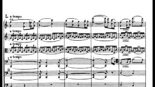 Edward Elgar  Serenade for Strings Op20 wscore [upl. by Girand]