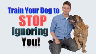 How to Get Your Dog to STOP IGNORING YOU 2 Unexpected Dog Training Tips [upl. by Lorilee]