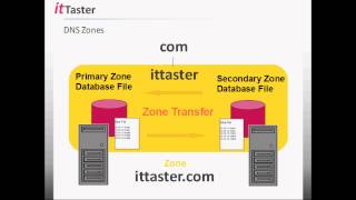 DNS Tutorial for Beginners [upl. by Anotal851]