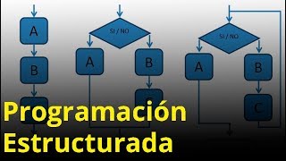 Programación estructurada [upl. by Orimar]