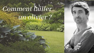 Comment tailler un olivier [upl. by Catina384]