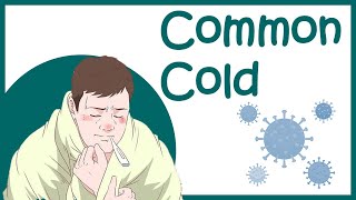 Common cold  Rhinitis amp Rhinovirus  symptomstreatment and recovery [upl. by Aivatahs722]