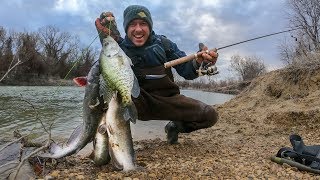 Ultra Light Tackle River Fishing  CATFISH amp CRAPPIE [upl. by Swainson]