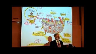 ANATOMY REVIEW OF CYTOLOGY PART 2 by Professor Fink [upl. by Muna]