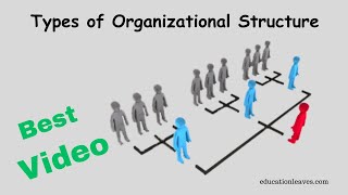 Types of Organizational Structure in management [upl. by Costanza]