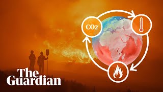 The climate science behind wildfires why are they getting worse [upl. by Eikceb47]