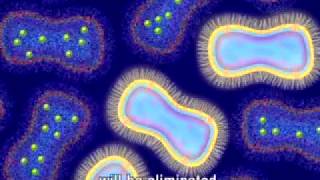 Animation of Antimicrobial Resistance [upl. by Akaenahs]