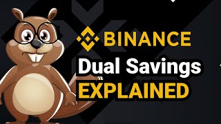 Binance Dual Savings Explained [upl. by Anyahs]