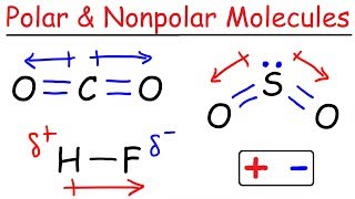 Polar and Nonpolar Molecules [upl. by Zetniuq]