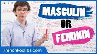 Gender of French Words Masculin vs Feminin [upl. by Nord]