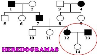 HEREDOGRAMAS  Exercícios e Dicas [upl. by Ecela925]