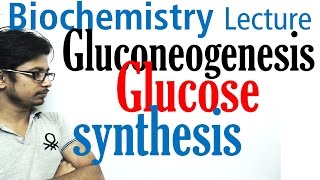 Gluconeogenesis pathway biochemistry [upl. by Iht]