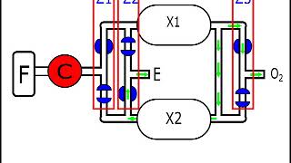 How an Oxygen Concentrator Works [upl. by Yuzik903]