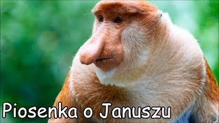 Piosenka o Januszu Ogórek Ogórek OgórekParody [upl. by Ilarrold]