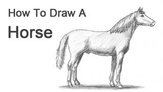 How to Draw a Horse [upl. by Oetomit]