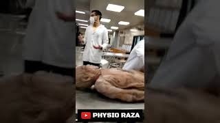 MBBS Students With Dead Body 🙄 Dissection Hall  Medical College  Physio Raza [upl. by Ahseile]