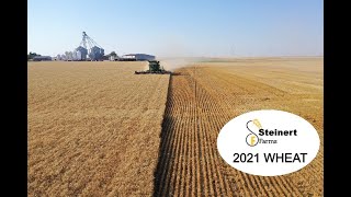 Steinert Farms Wheat Harvest 2021 [upl. by Vander]