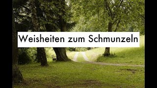 witzige Zitate amp lustige Sprüche  Weisheiten zum Schmunzeln [upl. by Oihsoy]