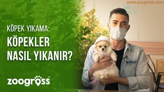 KÖPEK YIKAMA KÖPEKLER NASIL YIKANIR [upl. by Rednal]