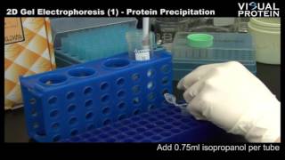 Protein Extraction and Precipitation  Video uploaded by Universal Biotechnology [upl. by Norrej]