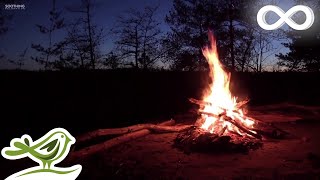 Relaxing Music amp Campfire • Relaxing Guitar Music Soothing Music Calm Music [upl. by Bobbee]